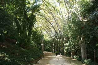 Costa del Sol, jardin botanico historico la concepcion